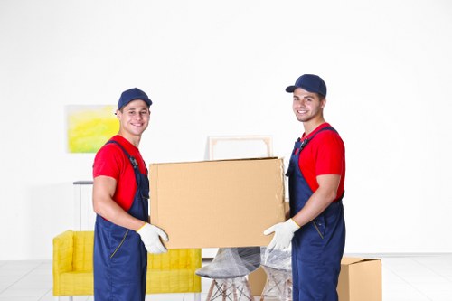 Removal truck hire vehicle suitable for local moves in Hydepark