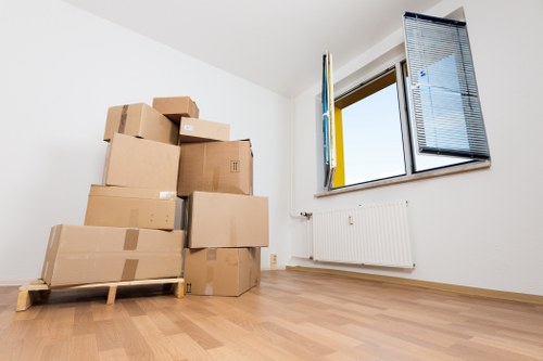 Professional removals team supporting a Hydepark home move