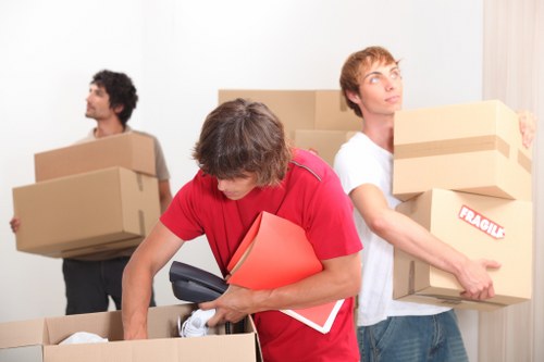 Local movers handling boxes in a Hydepark property