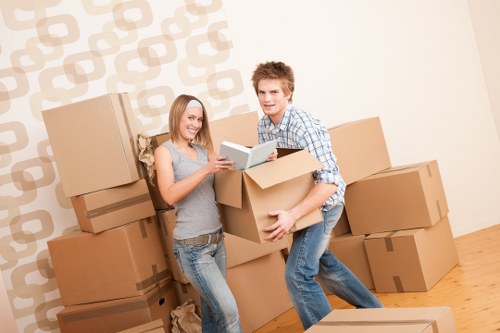 Small move transport support in Hydepark with boxes and household items
