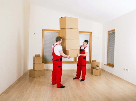 Van service for furniture delivery and item collection in Hydepark